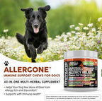 Dog Allergy Relief Chews | Itchy Skin Relief for Dogs | Colostrum Astralagus Omega 3 Bee Pollen Bromelain Echinacea Nettle Leaf Quercetin Licorice Root Spirulina ACV Immune - Pack of 1