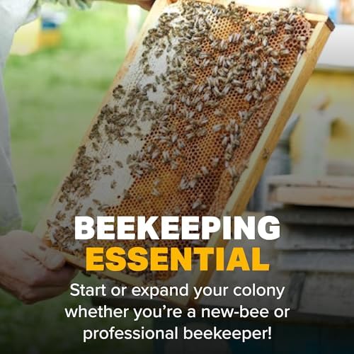 Mann Lake FD203 Bee-Pro Pollen Substitute, High Protein, Boosts Brood, Healthy Colony, Free from Animal by-Products, Rich in Vitamins & Amino Acids, 1 Lb Canister