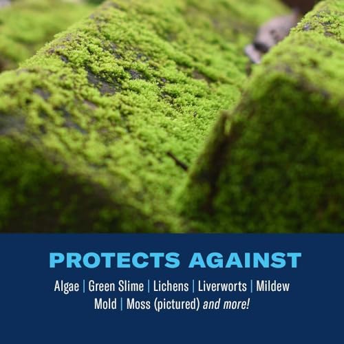BioAdvanced 2-in-1 Moss and Algae Killer and Cleaner for Lawns, Roofs, Patios, Decks, and More, Ready-to-Spray, 32 oz