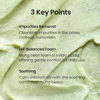 beplain Mung Bean pH-Balanced Cleansing Foam | Scent-free Cleanser | Gentle & Moisturizing Face Wash for All Skin Types | Makeup Remover | Korean Skin Care (2.7fl.oz)