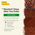 Brazilian Santos Medium Roast Coffee Beans - Single Origin Arabica Coffee Beans, Freshly Roasted to Order, Whole Bean Coffee Low Acid with Smooth Cocoa Notes, Specialty Grade and Fair Trade - 5LB