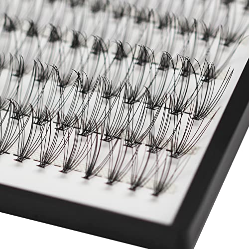 Bodermincer Black/Colored Cluster Lashes 240pcs 20D/40D DIY Eyelash Extension D Curl Long Individual Lashes Mixed Tray Faux Mink Lash Clusters Extensions 8-22mm (10D-10mm)