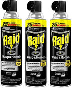 Raid Wasp and Hornet Killer, 17.5 OZ (Pack of 3)