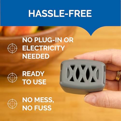 Hot Shot Flying Insect Trap, Discreet, Trap Attracts, Captures and Kills House Flies and Fruit Flies, 24/7 Continuous Attraction, No Plug-in Or Electricity Needed, 6 Count