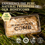 Jamie's Hive To Table 100% Raw Honeycomb, 48 Oz (Pack of 12) – All-Natural Pure Georgia Honeycomb – Fresh Georgia Honeycomb with Bee Pollen and Propolis, No Additives or Preservatives, Non-GMO