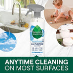 Seventh Generation All Purpose Cleaner, Biodegradable Formula, Free & Clear, 23 oz (Pack of 4)