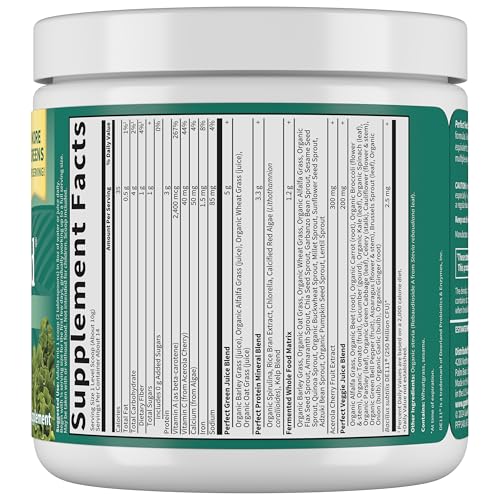 Garden of Life Perfect Food Super Green Formula - 14 Servings | 45 Superfoods, Greens, Fruit & Veggie Juice Superfood Powder Supplement, Probiotics & Organic Spirulina for Digestion & Immune Health