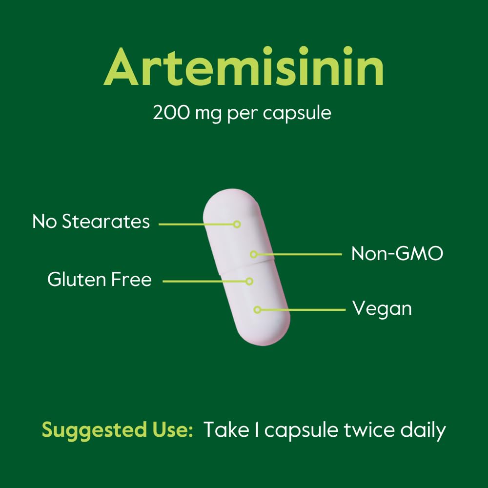BESTVITE Artemisinin 200mg Per Capsule (60 Vegetarian Capsules) - No Stearates - No Flow Agents - Vegan - Non GMO - Gluten Free