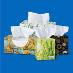 Scotties Everyday Comfort Facial Tissues, 64 Tissues per Box, 6 Pack