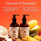 Fable & Mane Holiroots Conditioner for Women - Moisturizing for Damaged, Dry Hair with Turmeric, 8.5 FL oz