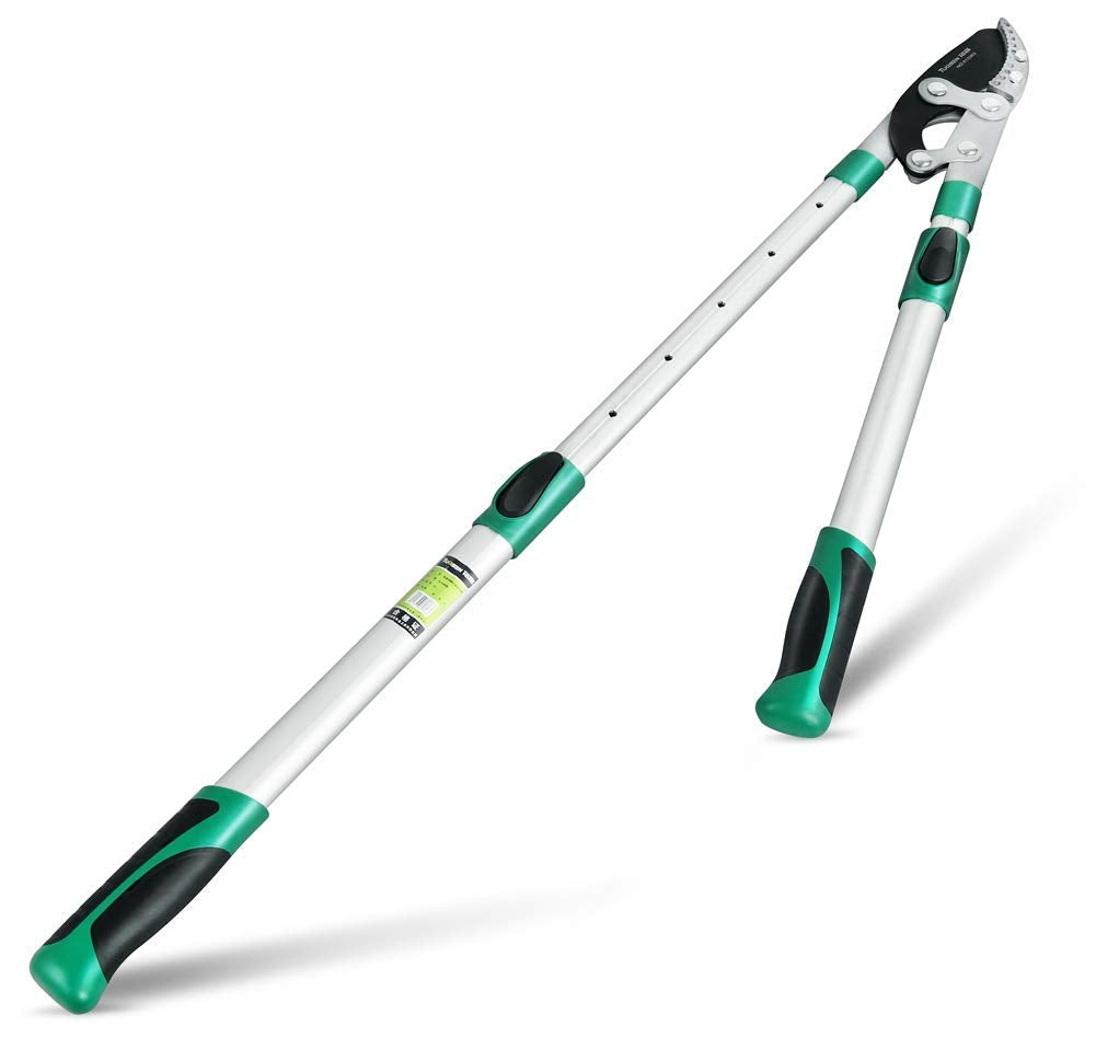Heavy Duty Anvil Lopping Shears -2 inch Cutting Capacity Bypass Lopper - Extendable 26 Inch to 41 Inch,Professional Tree Branch Cutter