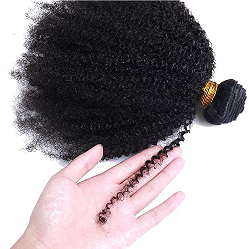 Mongolian Afro Kinky Curly Bundles Human Hair Crochet Hair for Black Women Boho Braids 4B 4C Afro Kinky Bulk Human Virgin Hair Burmese Curly Weave Bundles Human Hair Weft Natural Black 16 18 20 Inch