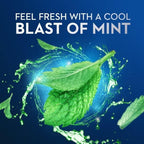 Oral-B Pro-Health Floss Picks + Scope Outlast Long Lasting Mint Flavor - 75 ct, Pack of 4