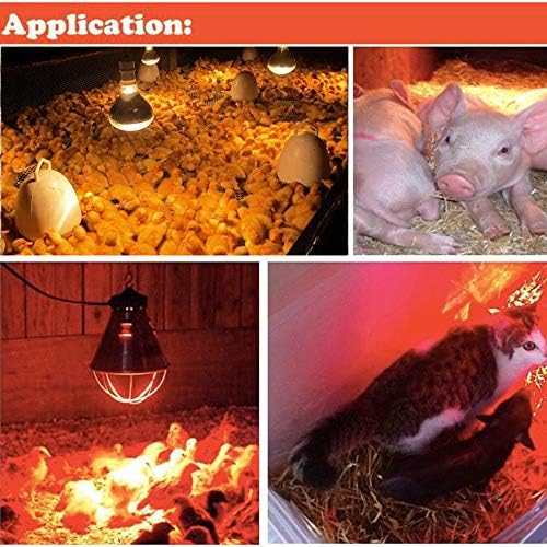 Infrared Heat Lamp Bulb Red Light Therapy 250 Watt Dark Red Hard Explosion-Proof Glass for Chicken, Farm, Pets, Warming Bulbs Bathroom Winter(120V,250W)