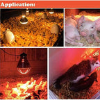 Infrared Heat Lamp Bulb Red Light Therapy 250 Watt Dark Red Hard Explosion-Proof Glass for Chicken, Farm, Pets, Warming Bulbs Bathroom Winter(120V,250W)