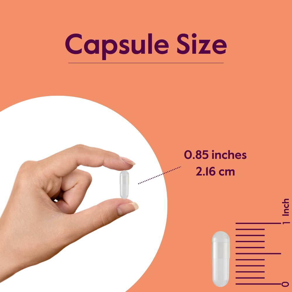 BESTVITE L-Carnosine 500mg per Capsule (120 Capsules) No Fillers - No Stearates - Non GMO - Gluten Free