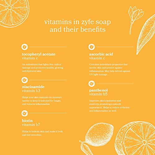 Vitamin Hand Soap - Liquid Hand Soap Value Pack Deal - Natural Plant Derived Moisturizing Handsoap with Essential Oil Fragrance Citrus Bask - Wholesale Carton