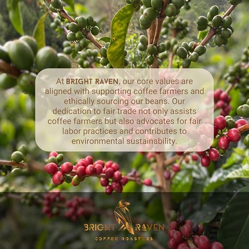 Bright Raven Coffee Roasters – Brazil, Single Origin, Whole Bean Coffee, Dark Roast, 12 Oz, 100% Arabica, Fresh Roasted, Specialty Coffee, Premium, Small Batch, Artisan, Gourmet, Low Acid Coffee.