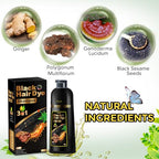 Hair Dye Shampoo 3 in 1, Herbal Shampoo Hair Dye for Women Men, Grey Coverage Shampoo 500ml (Black)