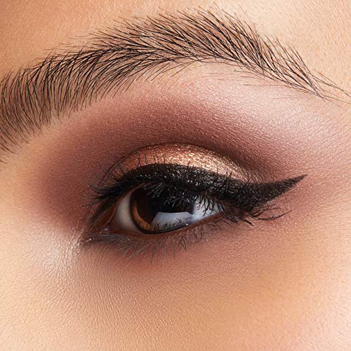 LORAC PRO Matte & Shimmer Eyeshadow Palette, Metallic High Pigmented, Mirror Compact