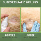 NOVEHA Dog Wound Therapy Spray - Itch Relief & Skin Repair for Dogs - Clean Wounds with Soothing Hypochlorous Acid for Allergies and Other Dog Skin Problems - Immediate Itching Relief - 8 oz Bottle