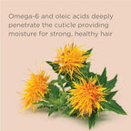 Hairitage Outta My Hair Gentle Daily Shampoo - Cleanses and Hydrates with Jojoba Oil - SOS Deep Moisture and Restore Conditioner for Thick Hair with Safflower Oil - 13 oz