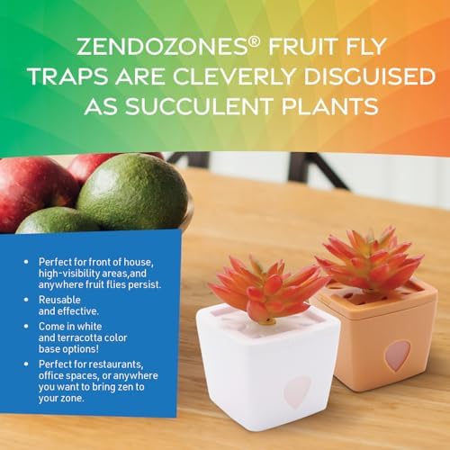 JT Eaton ZendoZones 1818-TT Fruit Fly Trap with Zendo Lure, Tranquil Tabitha with Plastic, White Base, Refillable and Reusable, Long-Lasting