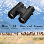 Nikon PROSTAFF P7 8x30 (16770) Black Binoculars Bundle with Lens Pen and Cleaning Cloth, Compact Binoculars for Adults for Hunting, Bird Watching, and Hiking Essentials, Zoom Lightweight Travel