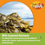 Pollen Patties for Honey Bees - 10lb (10x1lb) Natural Bee Food with 15% Real USA Pollen, Full Dose of Hive Alive Concentrate, Seaweed Micronutrients, and Amino Acids to Improve Colony Health, Brood