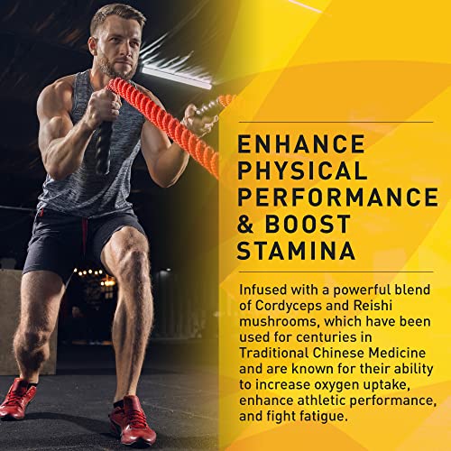 Enerhealth Botanicals NutriCafé Perfomance Enhancer – Fairly Traded, Low Acid, Medium Roast Whole Arabica Bean Coffee, Infused with Organic Mushroom Extracts to Increase Stamina & Performance – 12 oz