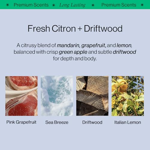 OffCourt - Natural Deodorant Body Spray for Men and Women - Aluminum Free - Whole Body Deodorant for Women and Men - Fresh Citrus and Driftwood Scent, 3.4 Ounce (Pack of 3)