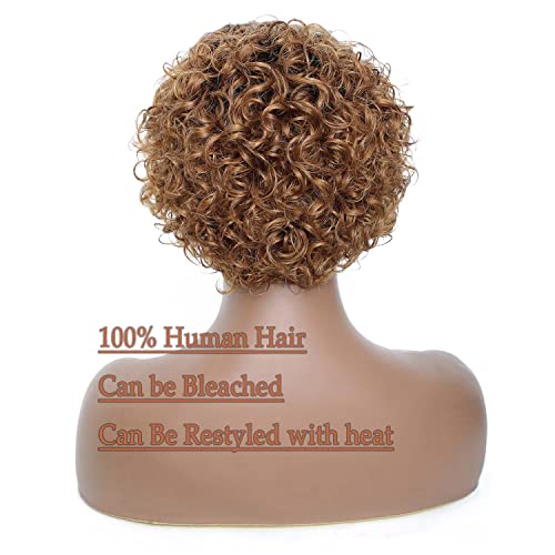 Ombre Blonde Pixie Cut Lace Front Wigs 6 inch Human Hair 13X1 Pixie Cut Short Curly Wigs HD Lace Front Wigs Plucked Pixie Curly Wigs for Black Women (6 Inch, 1B/27#)