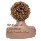 Ombre Blonde Pixie Cut Lace Front Wigs 6 inch Human Hair 13X1 Pixie Cut Short Curly Wigs HD Lace Front Wigs Plucked Pixie Curly Wigs for Black Women (6 Inch, 1B/27#)
