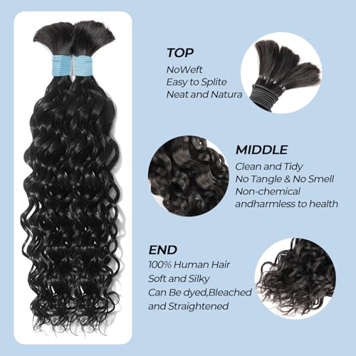 Human Braiding Hair 110g 14Inch Water Wave Bulk Boho Hair for Braiding Wet and Wavy Human Hair for Boho Braids Curly 100% Human Hair Extensions for Braiding Hair (1B, 14inch)