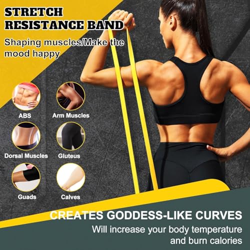 Resistance Bands,Exercise Bands,Resistance Bands for Working Out,Pull Up Bands, Workout Equipment,Workout Bands for Men Women,Stretch Bands for Home Exercise,Physical Therapy