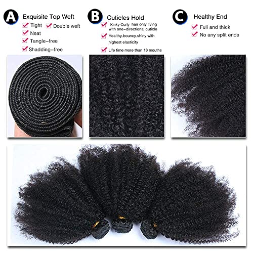 Mongolian Afro Kinky Curly Bundles Human Hair Crochet Hair for Black Women Boho Braids 4B 4C Afro Kinky Bulk Human Virgin Hair Burmese Curly Weave Bundles Human Hair Weft Natural Black 16 18 20 Inch
