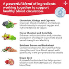 LifeSeasons Circulari-T - Blood Circulation Supplement - Supports Artery, Capillary & Vein Health - Butcher’s Broom, Ginkgo, Cayenne, Grape Seed & Horse Chestnut - 90 Capsules