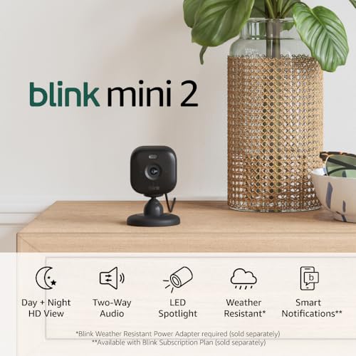 Blink Mini 2 (Newest Model) — Home Security & Pet Camera(s) with HD video, color night view, motion detection, two-way audio, and built-in spotlight — 2 cameras (Black)