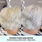 COLOR WOW Dream Filter Pre Shampoo Mineral Remover – Hard water detox | Get Lighter, Brighter, Shinier Color in 3 Minutes