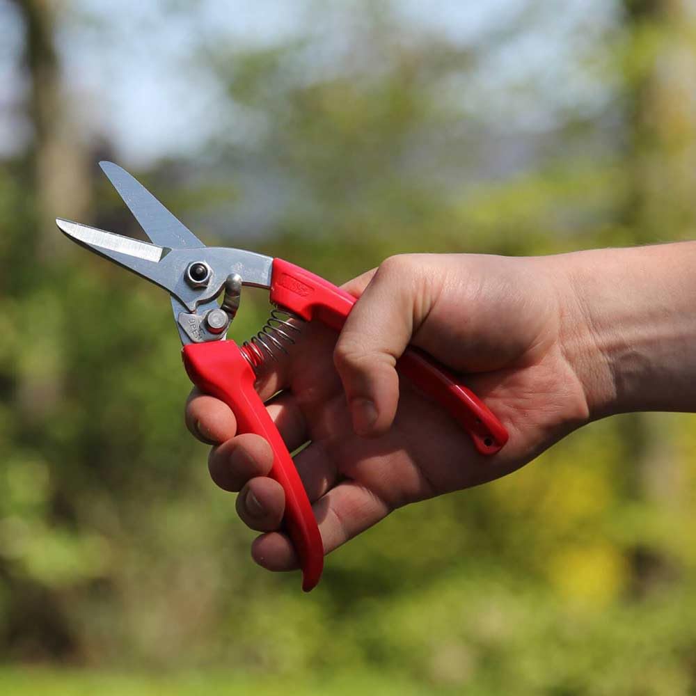 ARS Cut above the rest Pruning shears -140DX 12mm