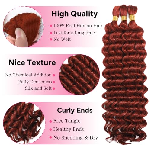 Deep Wave Bulk Human Braiding Hair 3 Bundles 110g 24 Inch Human Ginger Braiding Hair for Boho Braids Color 350 No Weft 100% Percent Brazilian Human Braiding Hair Extensions for Micro Braiding