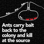 Raid Max Liquid Ant Bat; Kills Ants Where They Breed, For Indoor and Outdoor Use; 8 Bait Stations