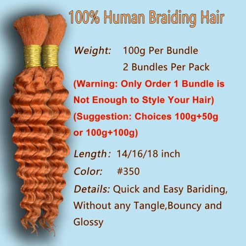 Eileen 350 ginger human braiding hair 18 Inch 100g 2 Bundles Deep Wave Bulk Human Hair for Braiding Curly Human Hair for Boho Braids Water Wet and Wavy Curls Micro Braiding Hair Extensions