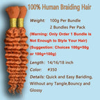 Eileen 350 ginger human braiding hair 18 Inch 100g 2 Bundles Deep Wave Bulk Human Hair for Braiding Curly Human Hair for Boho Braids Water Wet and Wavy Curls Micro Braiding Hair Extensions