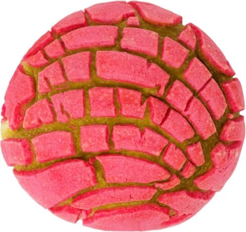 Concha Blanket White Elephant Gifts for Kids Stuff Useful Adults Teenagers Throw Blankets Wrap Boy Girl Party Novelty Gag Pets Soft Fleece Sweet Shell Bread 61in