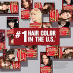Revlon ColorSilk with Bond Repair Complex, Permanent Hair Color, 100% Gray Coverage, Ammonia Free Hair Dye, Vegan Keratin, 42 Medium Auburn (Pack of 3)