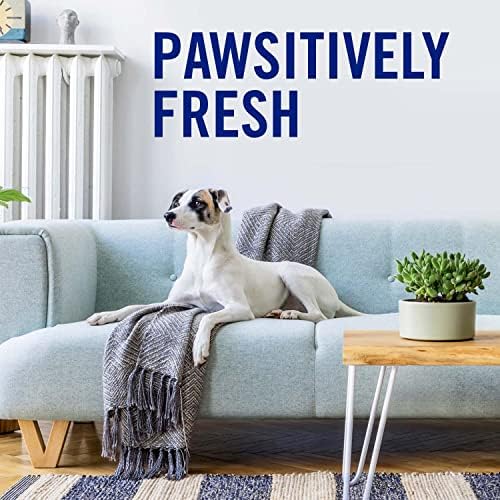 Febreze Air Freshener, Air Effects Hygienic Air Cleaning Spray, Clean Splash Scent, 8.8 Oz. Aerosol Can (Pack of 3)