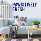 Febreze Air Freshener, Air Effects Hygienic Air Cleaning Spray, Clean Splash Scent, 8.8 Oz. Aerosol Can (Pack of 3)