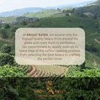 Bright Raven Coffee Roasters - Organic Guatemala, Single Origin, Whole Bean, Medium Roast, 12 Oz, 100% Arabica, Fresh Roasted, Specialty Coffee, USDA Certified Organic, Low Acid