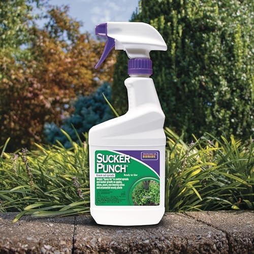 Bonide Sucker Punch, 16 oz Ready-to-Use Spray, Control Unwanted Plant Sprouts, Plant Growth Regulator for Home Garden